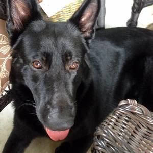 Meet your Posher, Florence